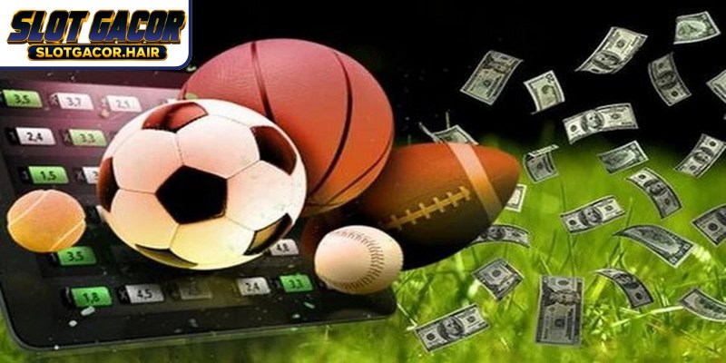 Hal-hal yang Perlu Diketahui Sebelum Bertaruh di Slot Gacor pemain elit