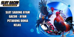 Slot Sabung Ayam Gacor