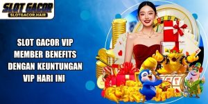 Slot Gacor Vip Member Benefits